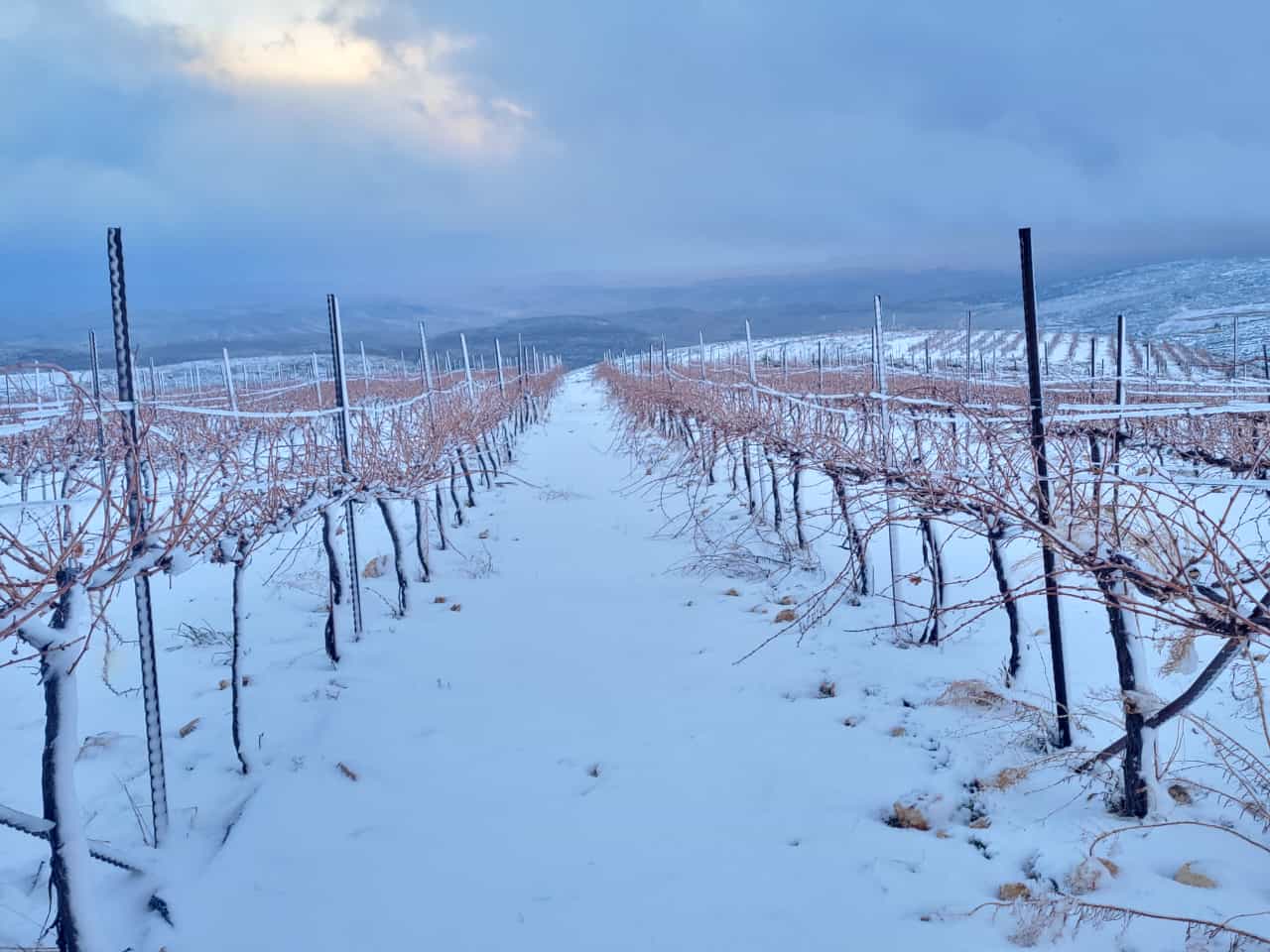 (צילום: פורום ההתיישבות הצעירה)